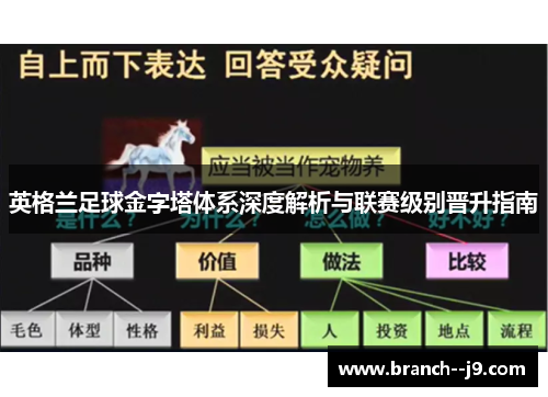 英格兰足球金字塔体系深度解析与联赛级别晋升指南