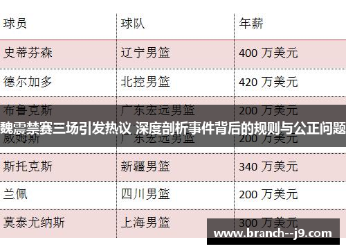 魏震禁赛三场引发热议 深度剖析事件背后的规则与公正问题