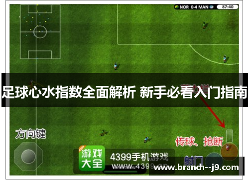 足球心水指数全面解析 新手必看入门指南