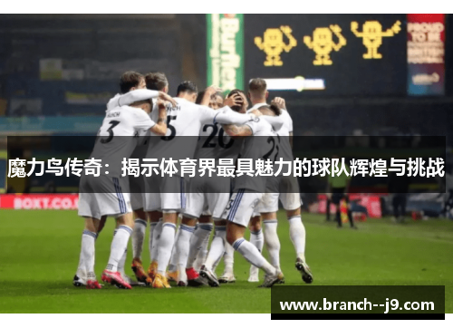 魔力鸟传奇：揭示体育界最具魅力的球队辉煌与挑战